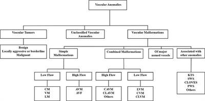 Cell Populations Expressing Stemness-Associated Markers in Vascular Anomalies